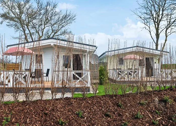 Seeschwalbe Feriehus